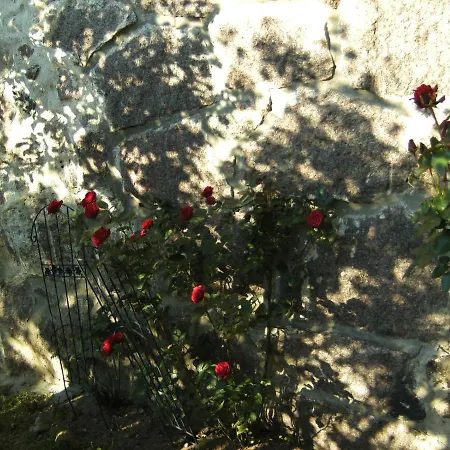Owczarnia Apartment Miedzychod